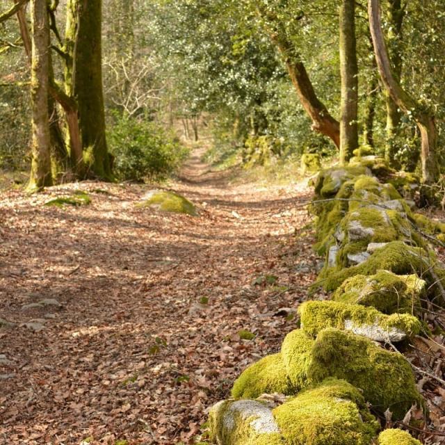 Instagram #ilovecreuse