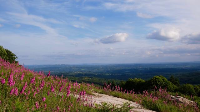 Rando Guide des Monts de Saint Goussaud