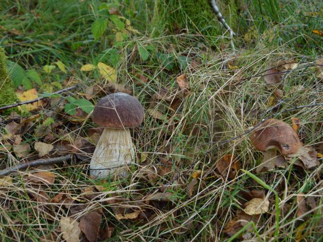 Road Trip Vassivière