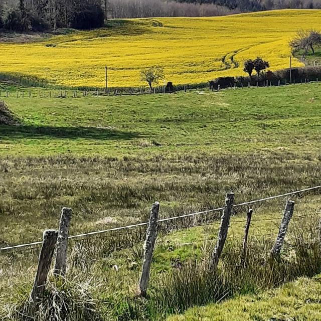 Instagram #ilovecreuse