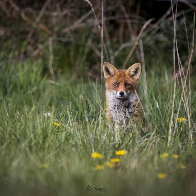 Instagram #ilovecreuse