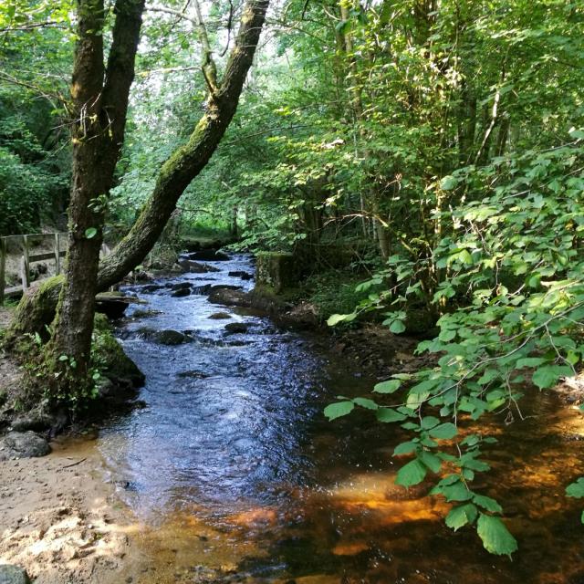 Les gorges du Verger