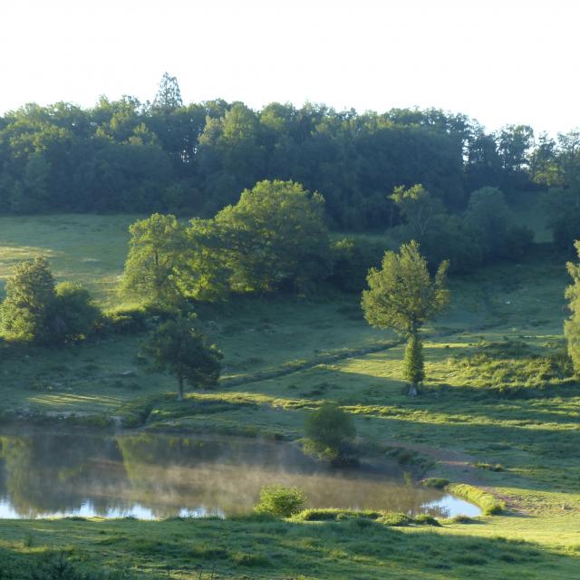 Nalèche Printemps