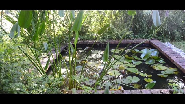 Jardin Les Gargalhous14