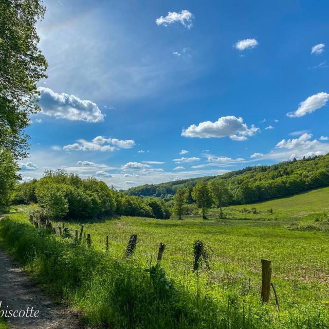 Instagram #creuse