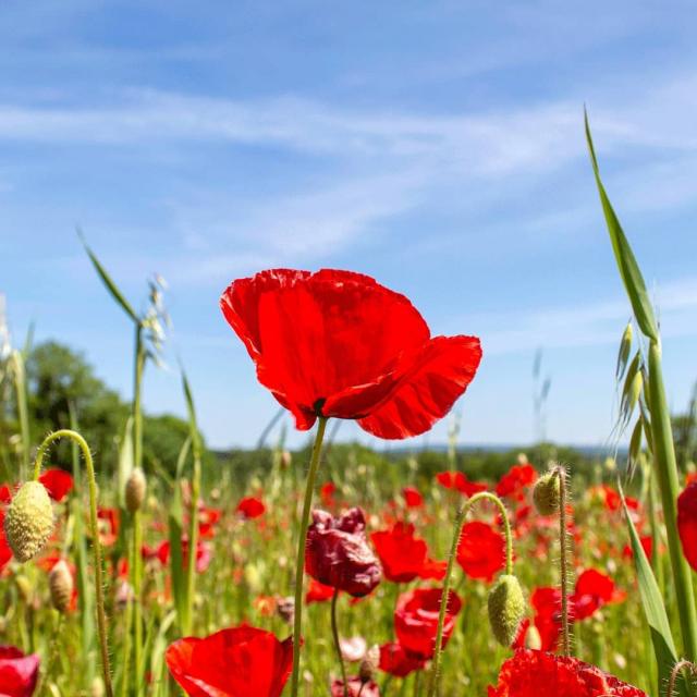 Instagram #creuseconfluencetourisme