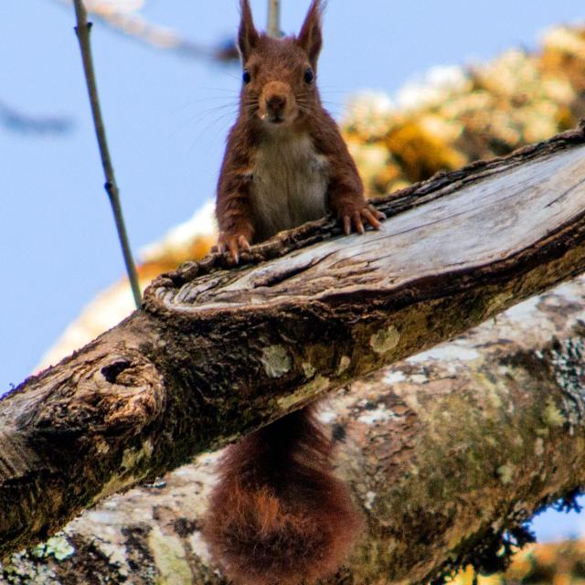 Instagram #creuseconfluencetourisme