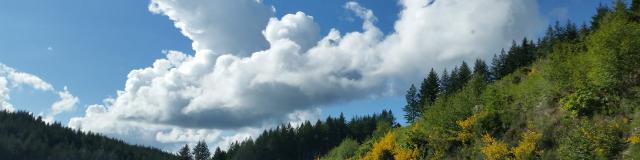 35353-large.jpg