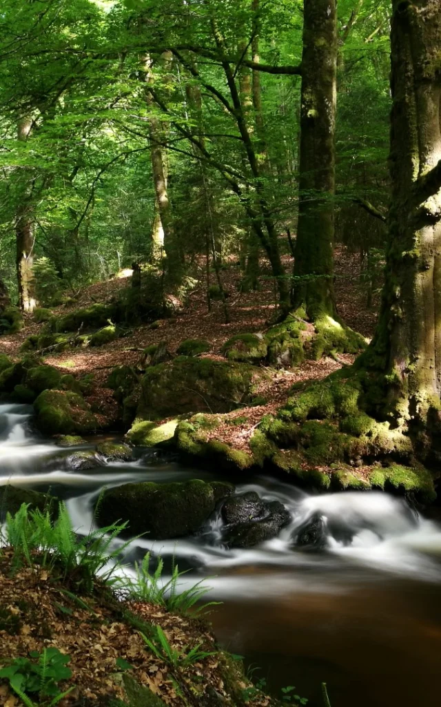 Cascade d'Augerolles