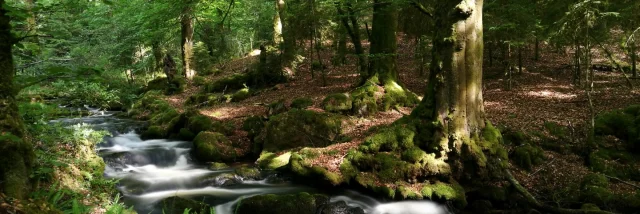 Cascade d'Augerolles