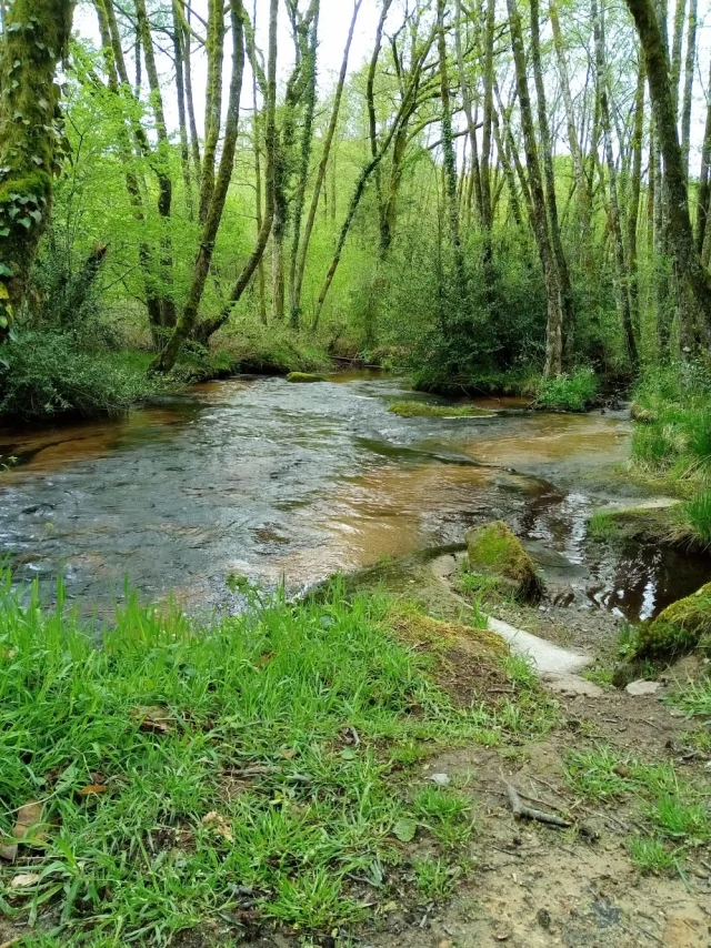 Img 20210518 100113