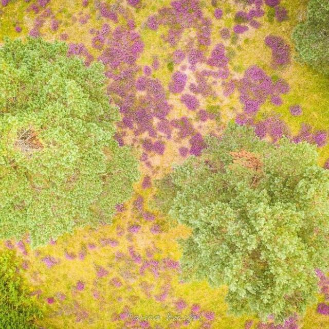 Instagram #ilovecreuse