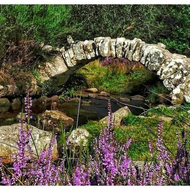 Instagram #ilovecreuse