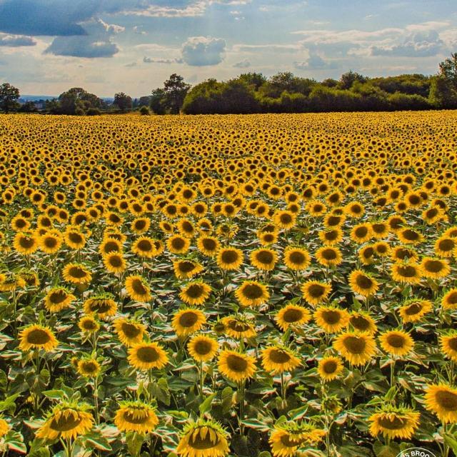 Instagram #creuseconfluencetourisme