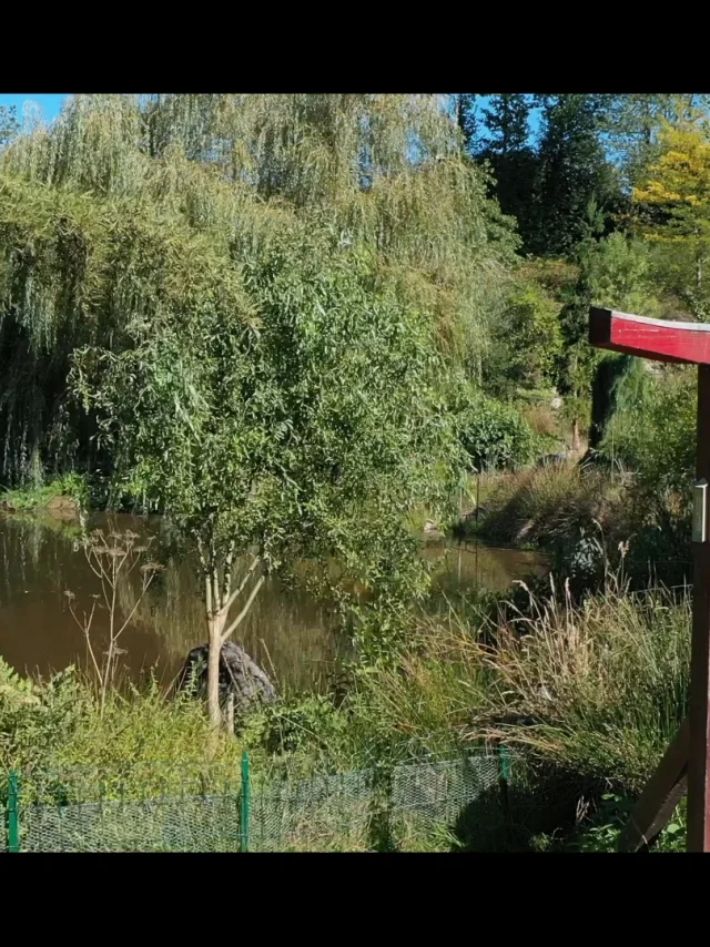 Jardin Artbotanic