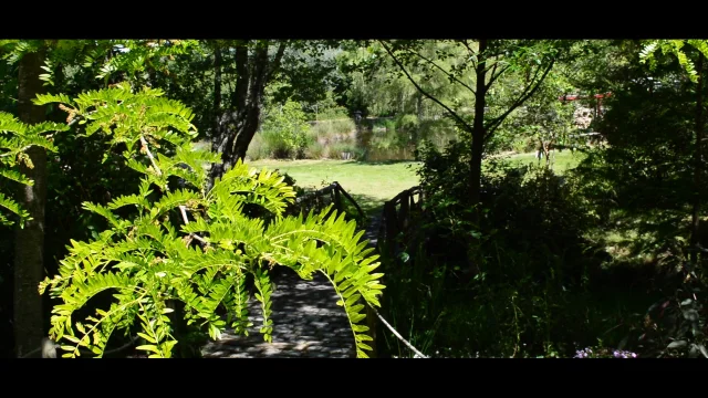 Jardin Artbotanic
