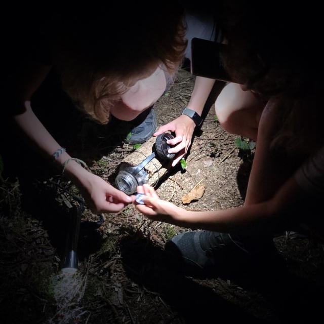 Terra Aventura Bridiers Zenight 1