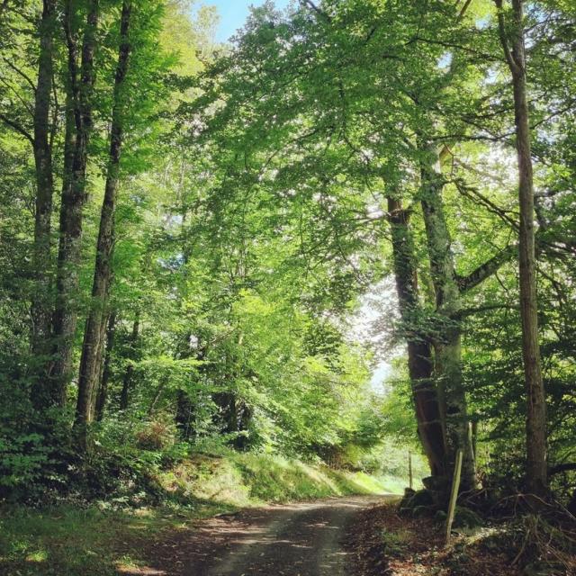 Instagram #ilovecreuse