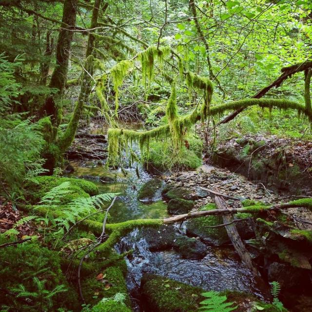 Instagram #ilovecreuse
