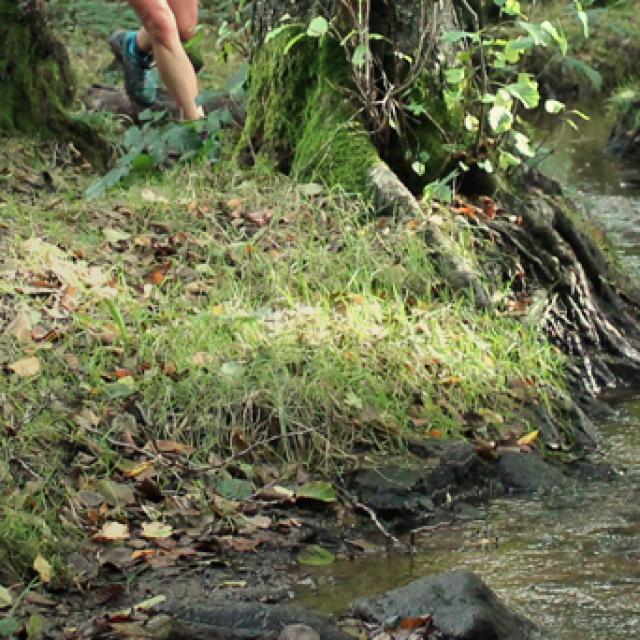 header-edito-trail-1.jpg