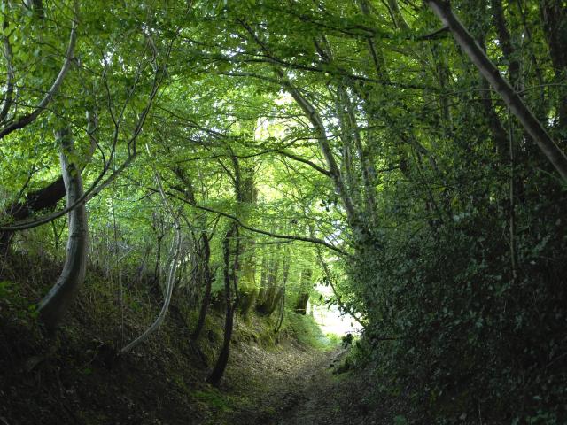 La Cellette Portes De La Creuse En Marche