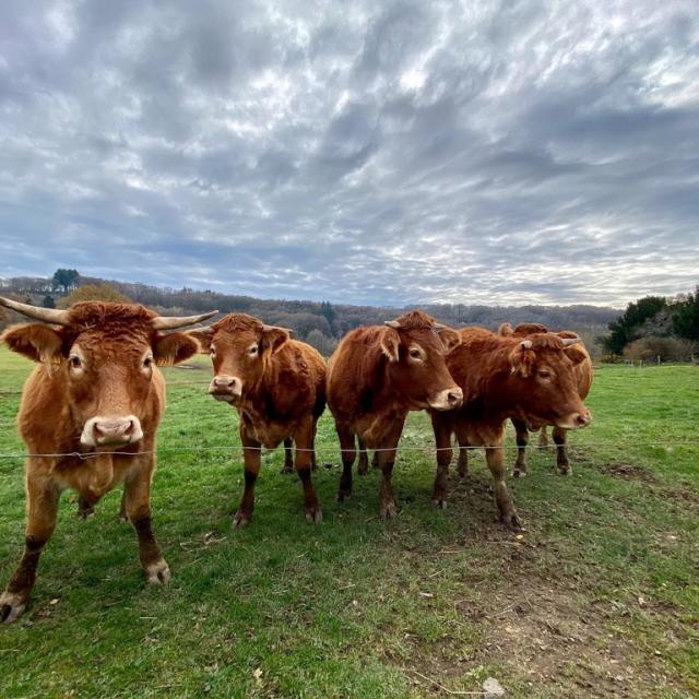 Instagram #creuse