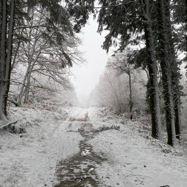 Instagram #creuse
