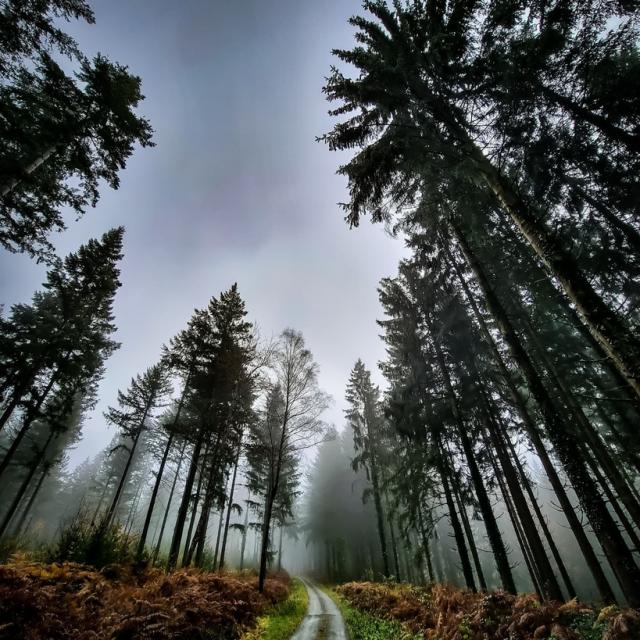 Instagram #creuse