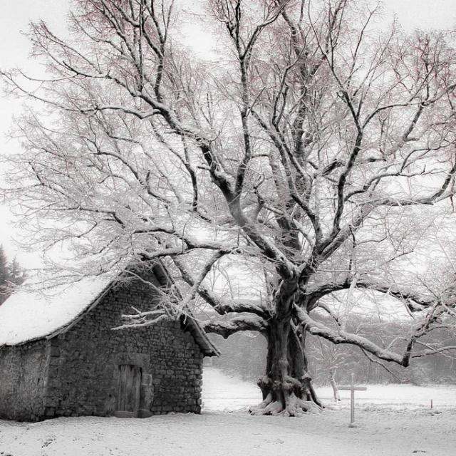Instagram #ilovecreuse