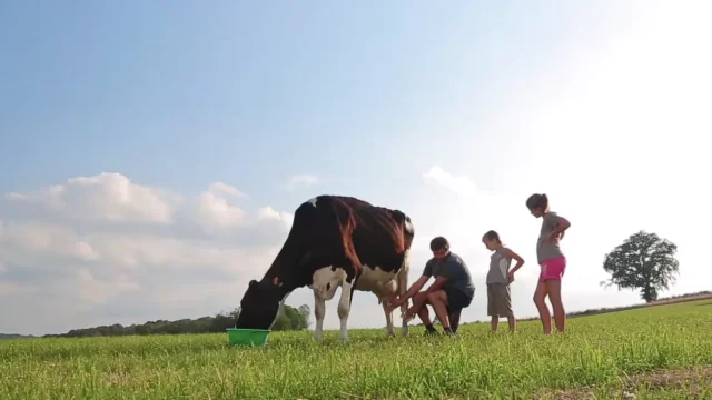 Visite de la ferme pédagogique - La ferme Arc en Ciel - St Léger le Guéretois