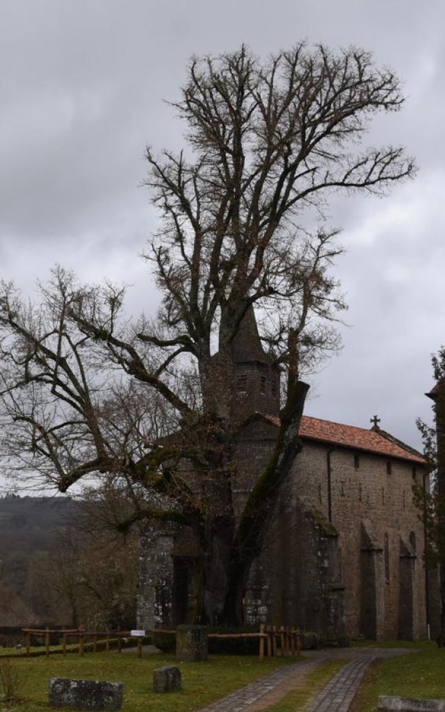 Eglise de Saint Martial le Mont