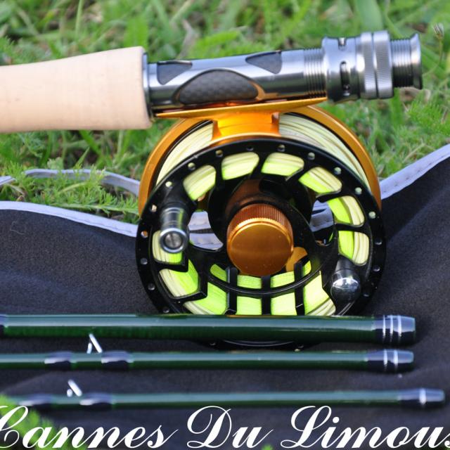 cannesdulimousin2.jpg