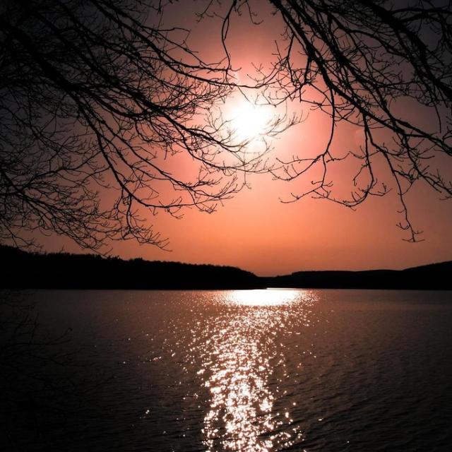 Instagram #vassiviere