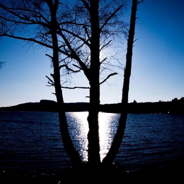 Instagram #vassiviere