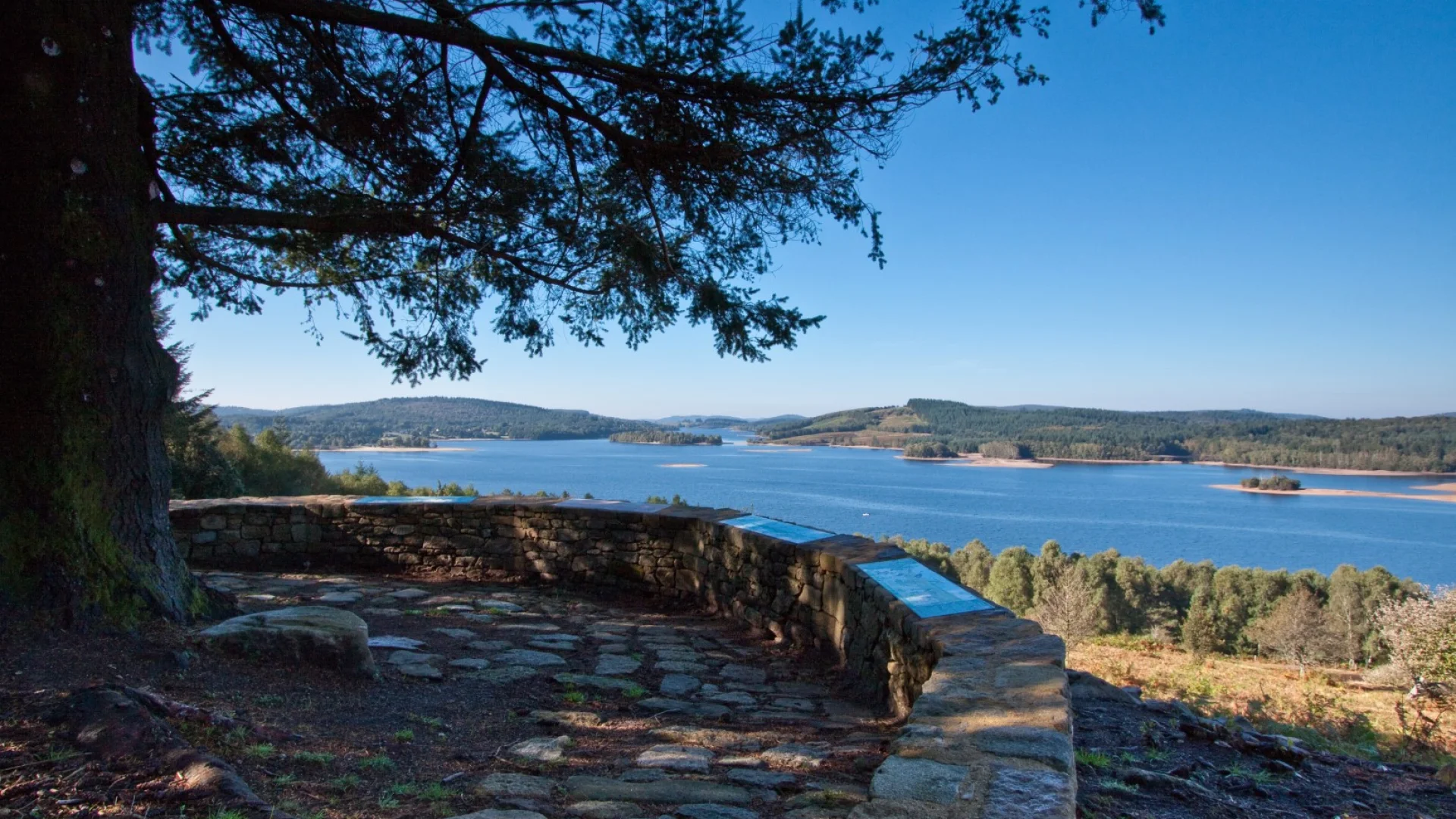 Lande du Puy de la Croix _ Vassiviere©f Champion