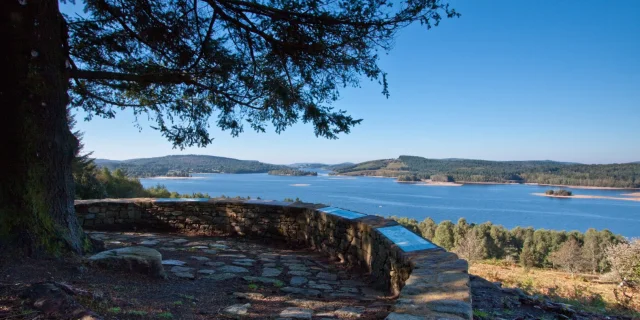 Lande du Puy de la Croix _ Vassiviere©f Champion