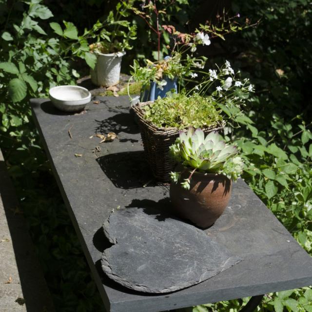 Balade Reposante Du Lundi 1er Août