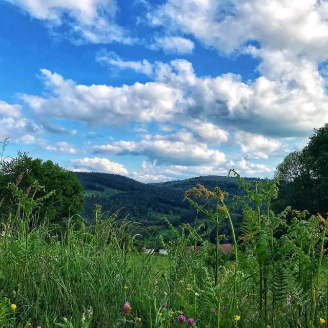 Instagram #ilovecreuse
