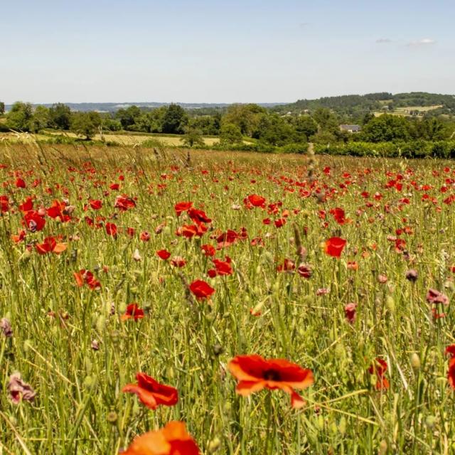 Instagram #ilovecreuse