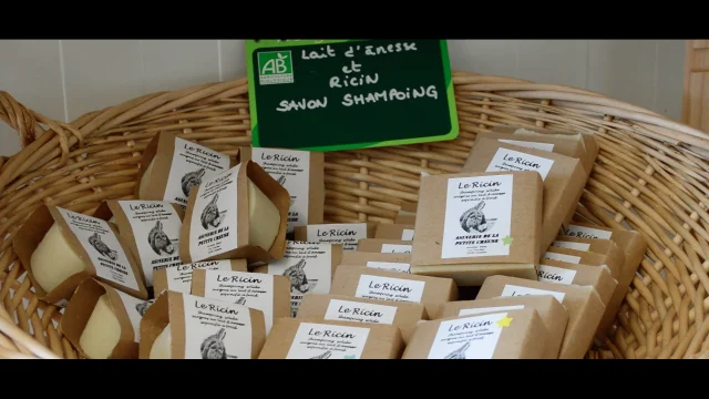 Asinerie de la Petite Creuse à Chéniers dans la Creuse