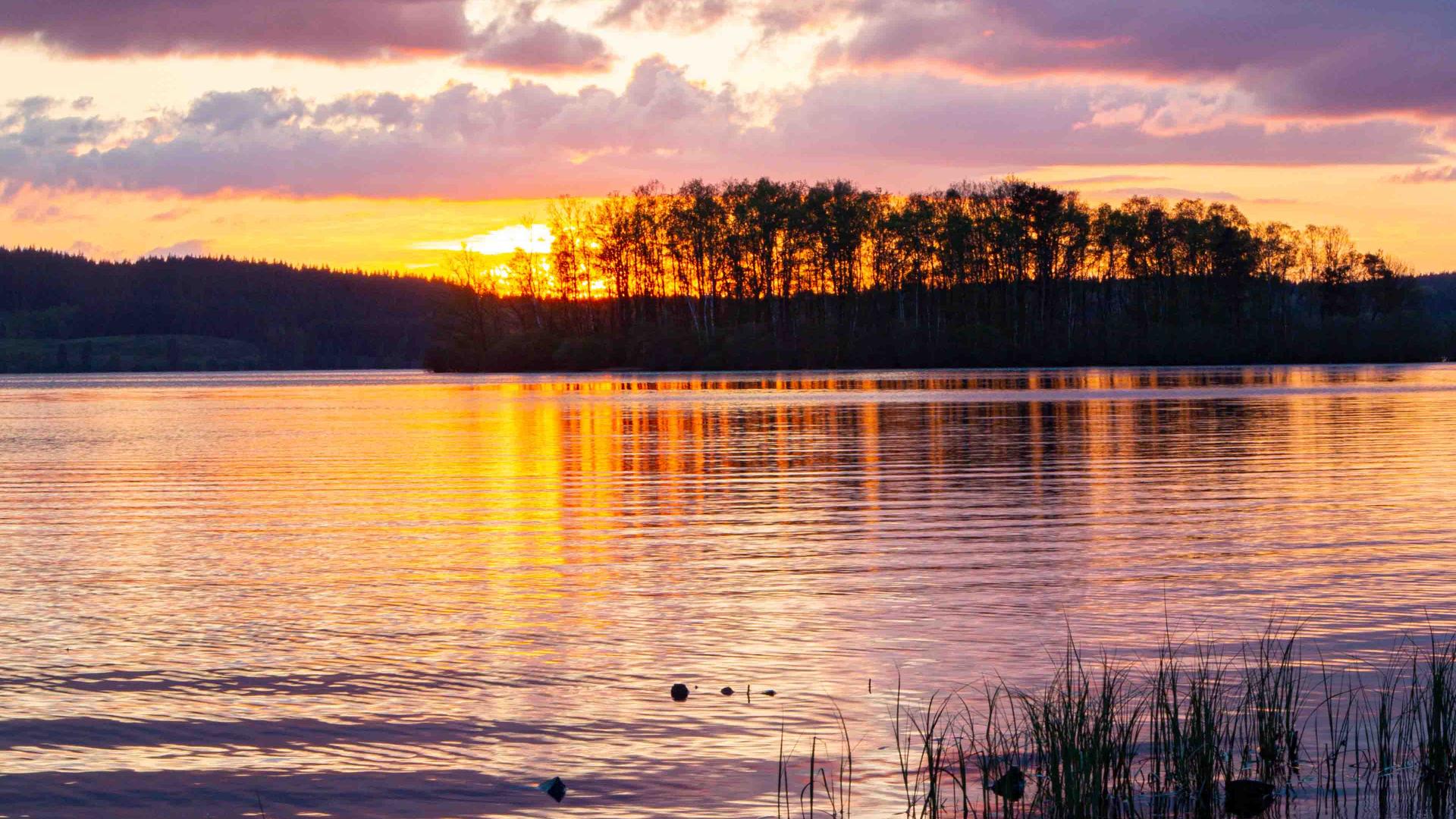 Lac de Vassiviere ©Maxime Authier 2022