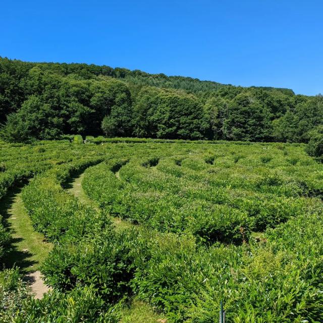 Instagram #ilovecreuse