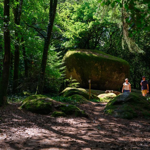 Randonnée pédestre - Monts de Guéret