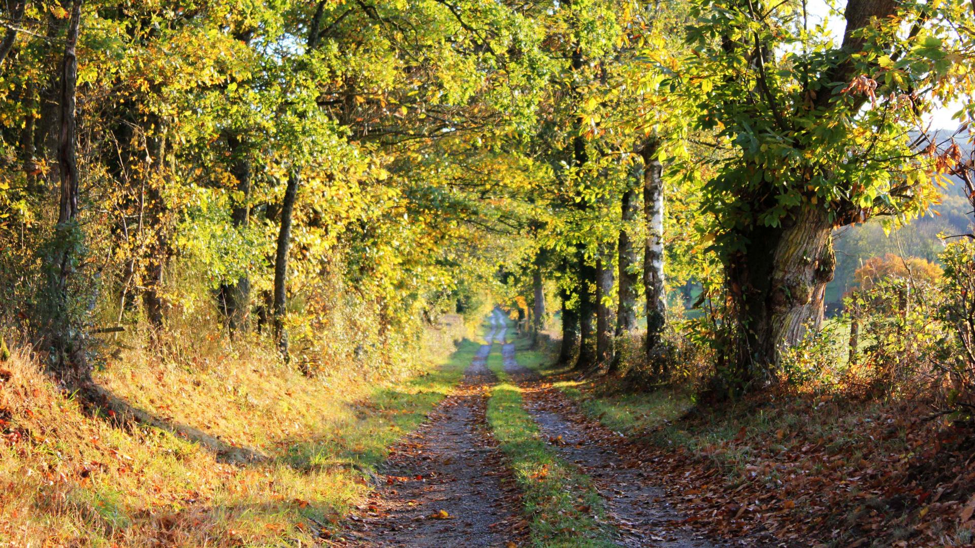 Nature 04 ©tourisme Aubusson Felletin
