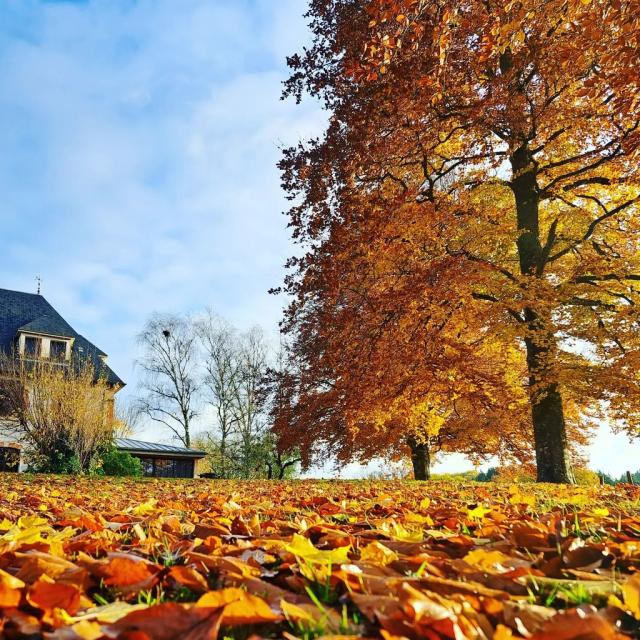 Instagram #ilovecreuse