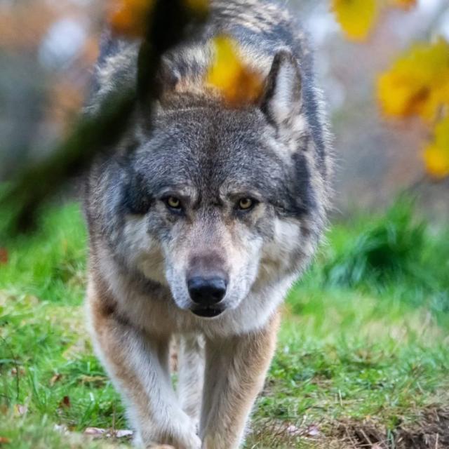 Instagram #ilovecreuse