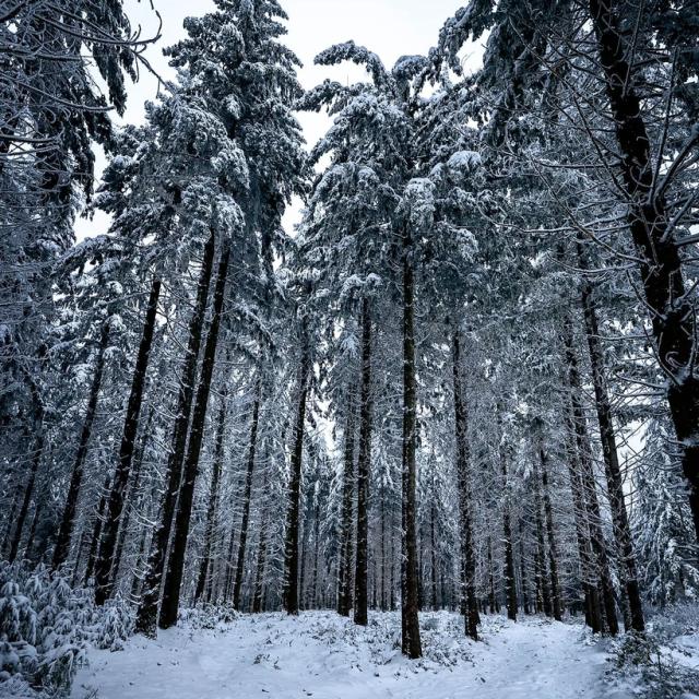Instagram #ilovecreuse