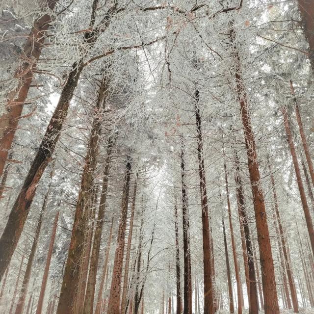 Instagram #ilovecreuse