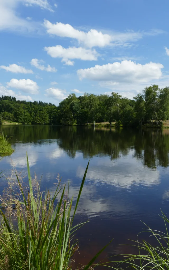Etang Chaux Mcea (2)