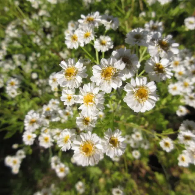 Lupersat Paysages ©lupersat (3)